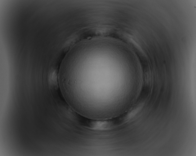 X0000095680575200801081231