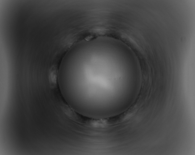 X0000095680576200801081231