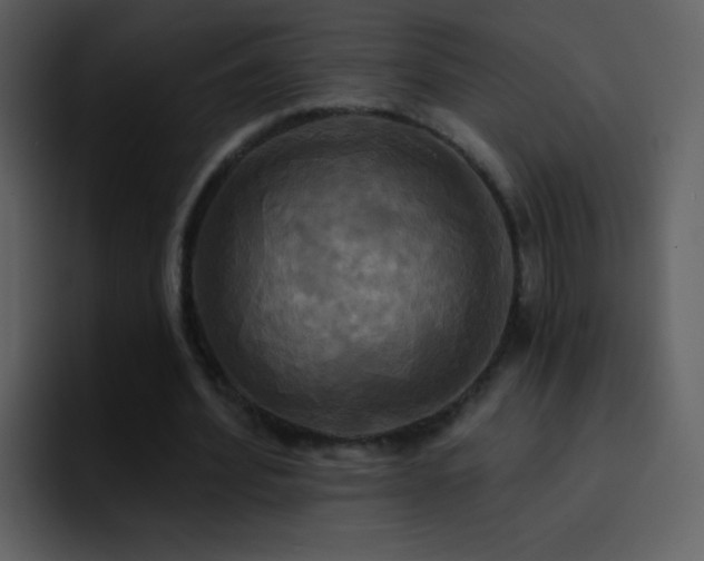 X0000095680580200801081230