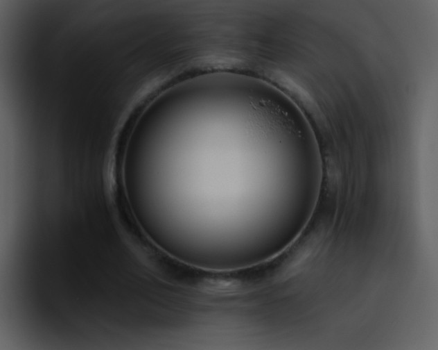 X0000095680582200801081230