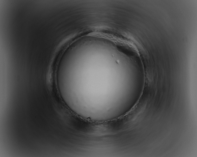 X0000095680583200801081230