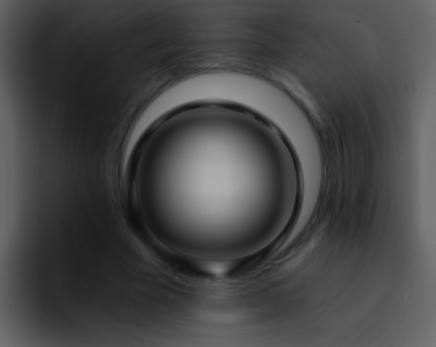 X0000095680585200801081230