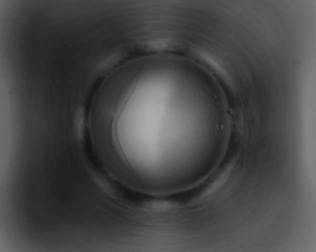 X0000095680590200801081230