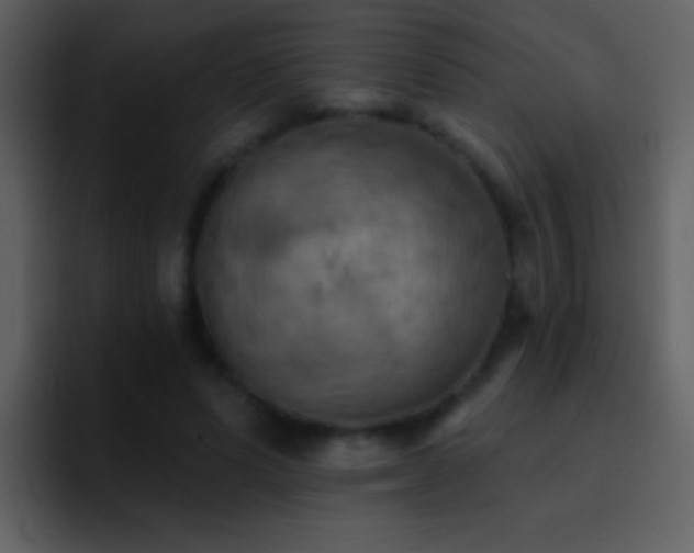 X0000095680591200801081230