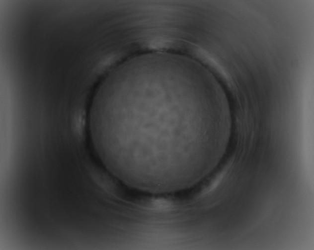 X0000095680592200801081230