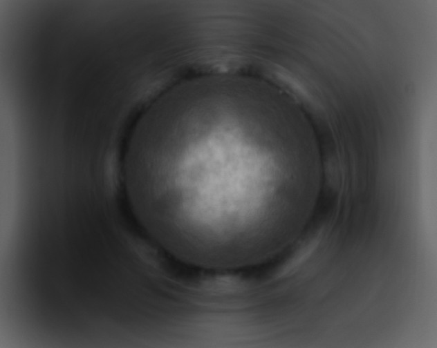 X0000095680594200801081230