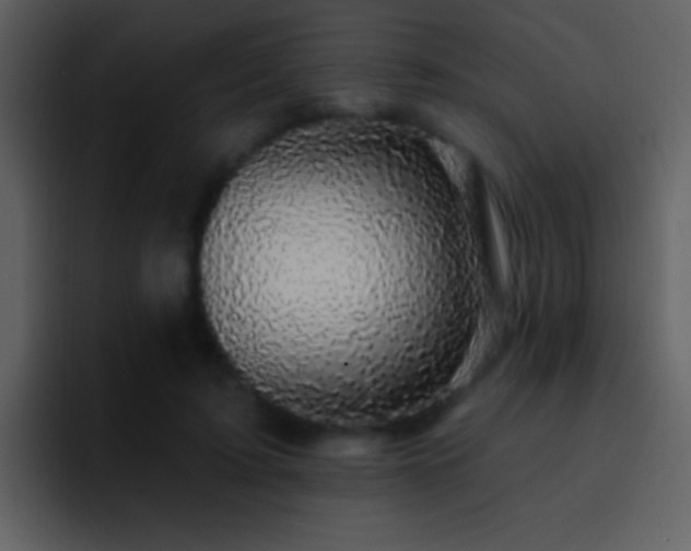 X0000095680595200801081230