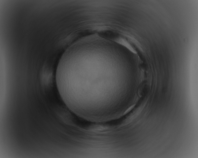 X0000095680597200801081230