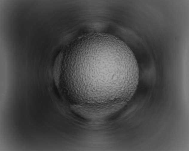 X0000095680599200801081230