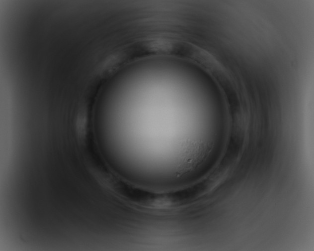 X0000095680600200801081230