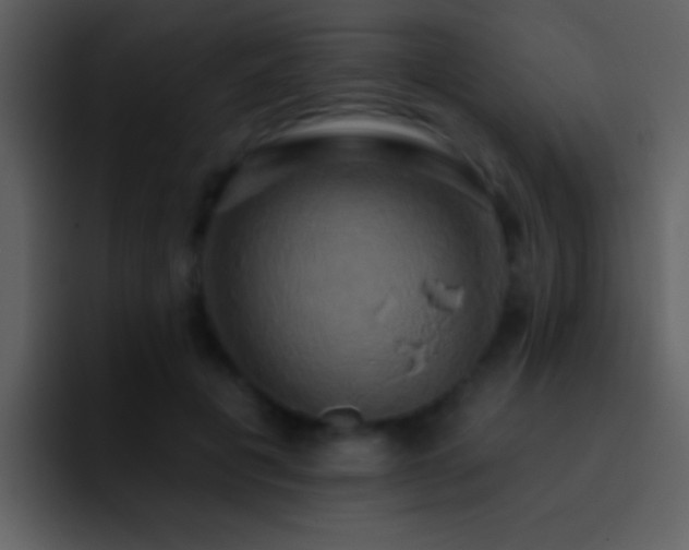 X0000095680601200801081230