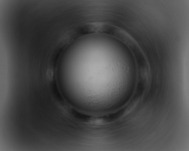 X0000095680602200801081230