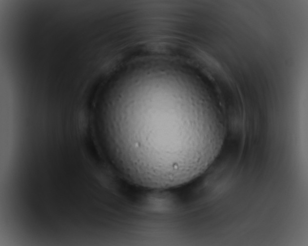 X0000095680603200801081230