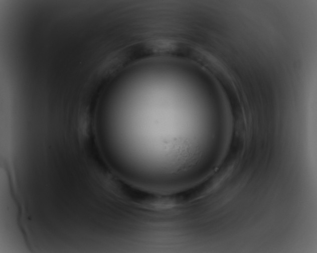 X0000095680604200801081230