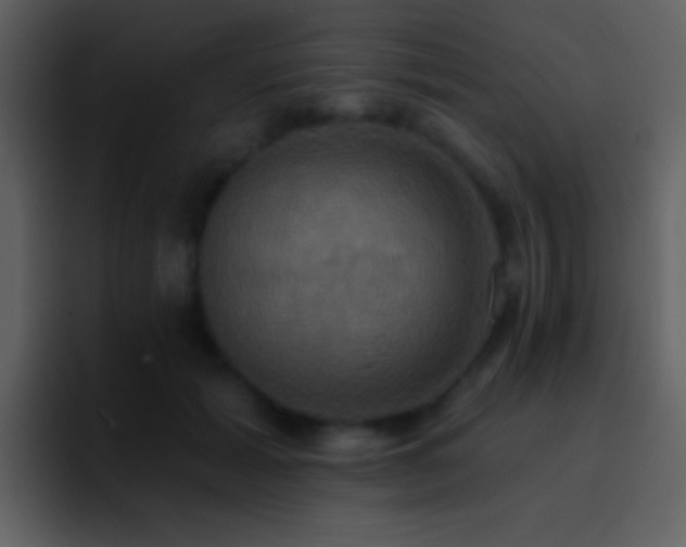 X0000095680605200801081230