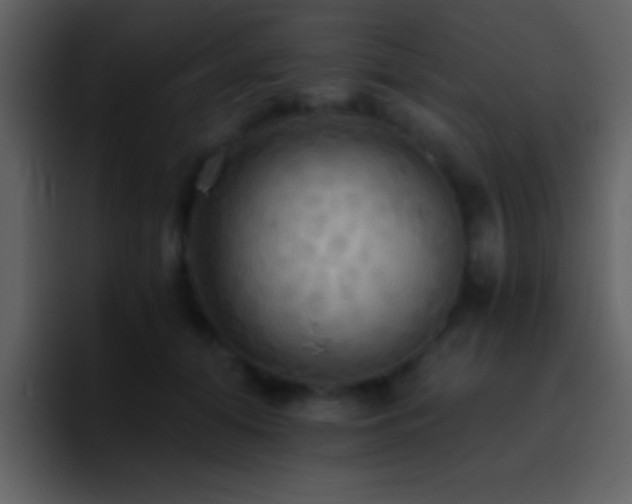 X0000095680608200801081230