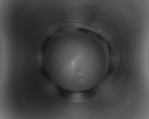 X0000095680609200801081230