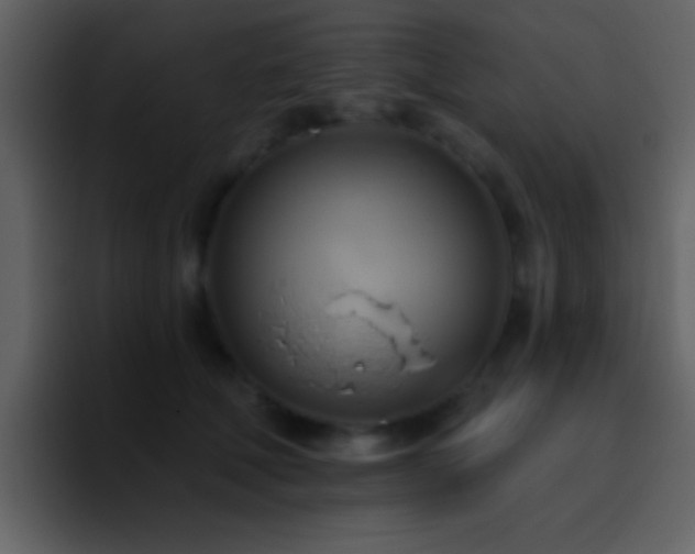 X0000095680610200801081230