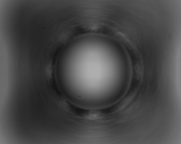 X0000095680612200801081230