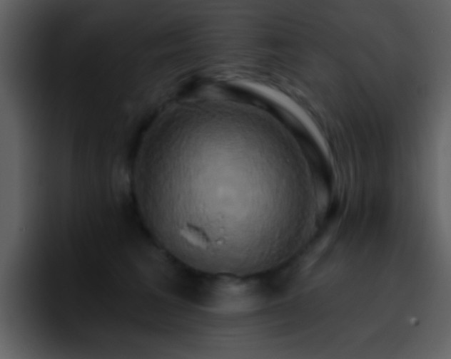 X0000095680613200801081230