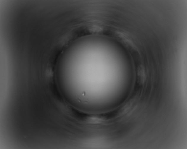 X0000095680614200801081230