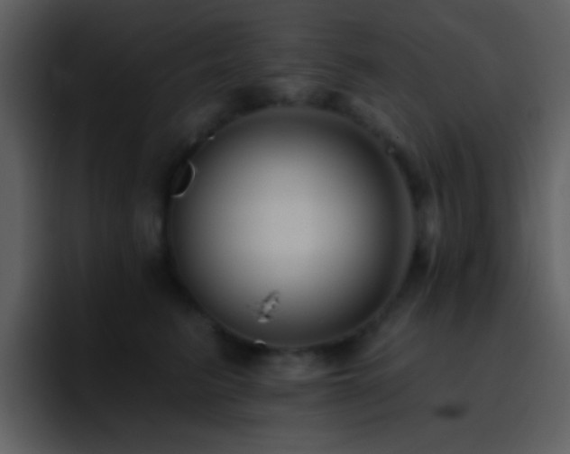 X0000095680615200801081230