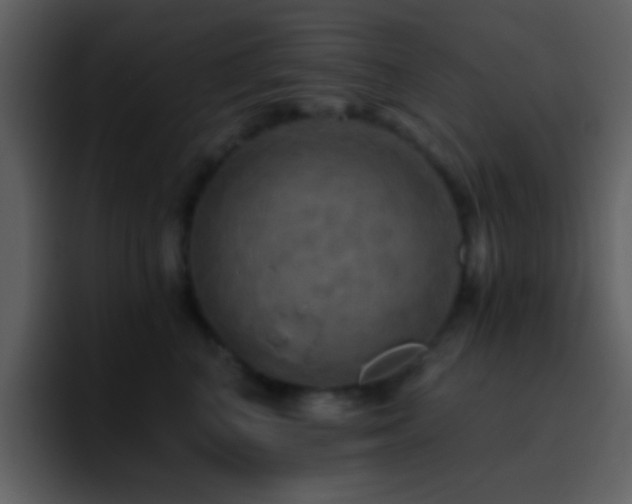 X0000095680616200801081230