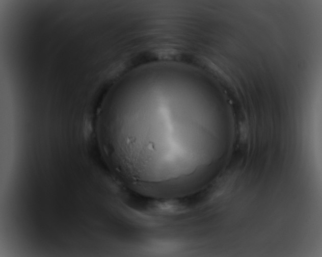 X0000095680618200801081230