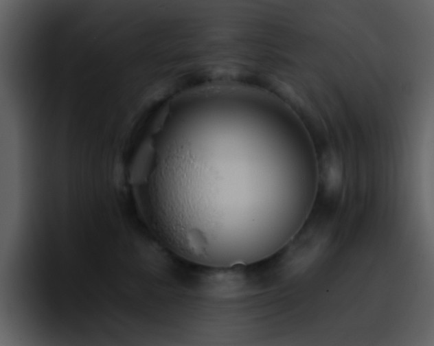 X0000095680619200801081230