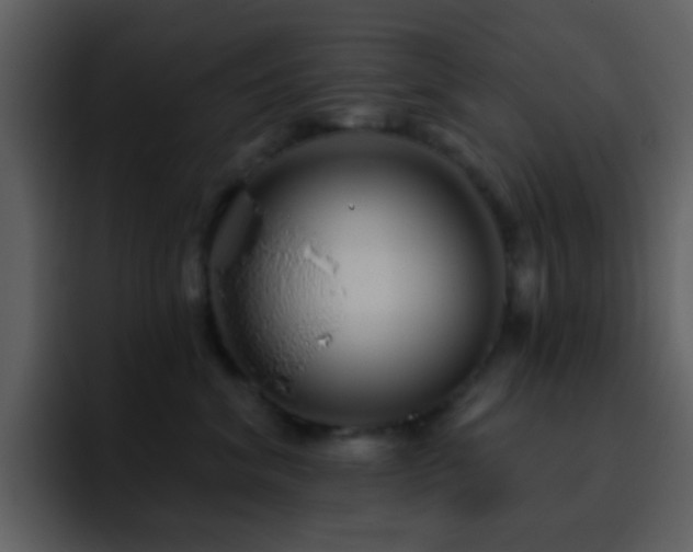 X0000095680620200801081230