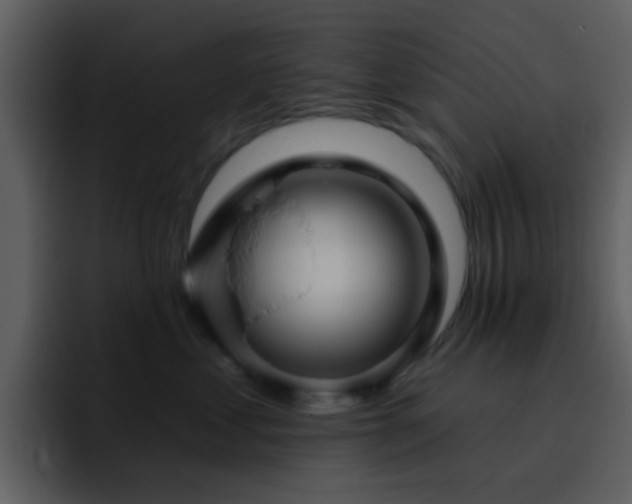X0000095680621200801081230