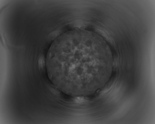 X0000095680623200801081230