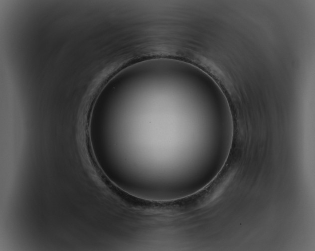 X0000095680625200801081229