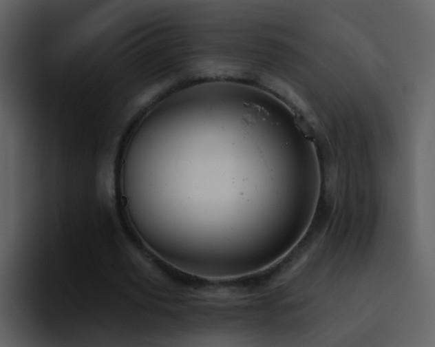 X0000095680629200801081229