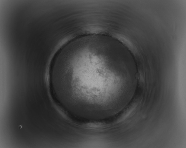 X0000095680630200801081229