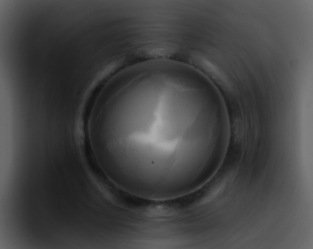 X0000095680634200801081229