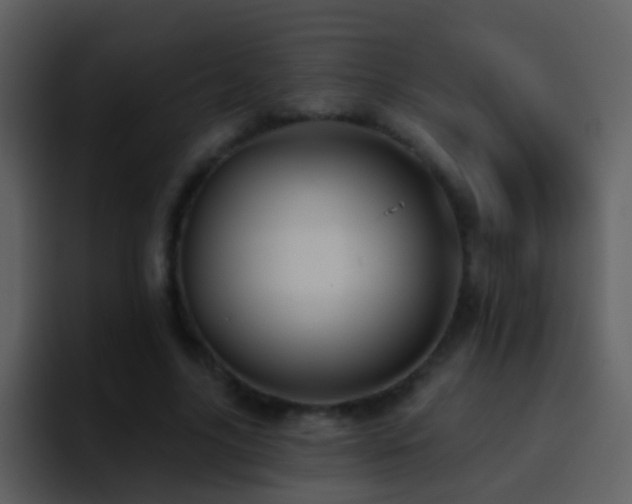 X0000095680635200801081229
