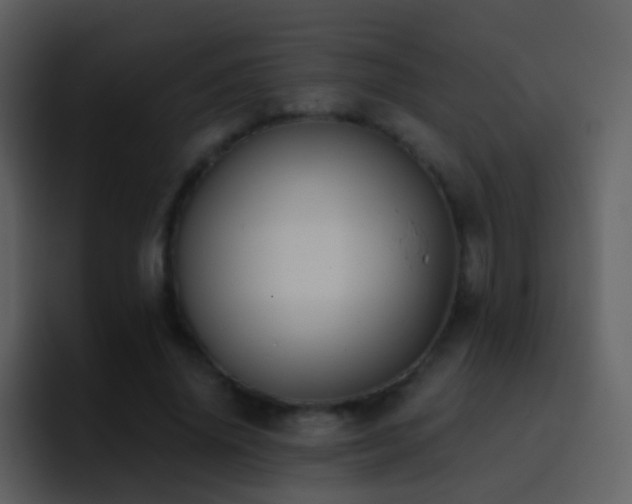 X0000095680636200801081229