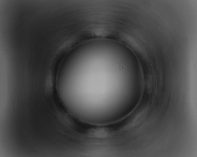 X0000095680639200801081229
