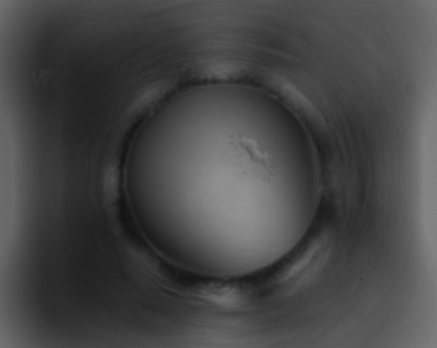 X0000095680640200801081229