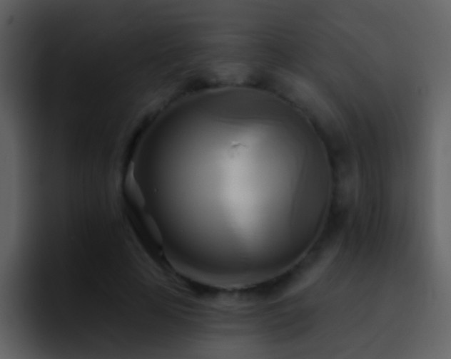 X0000095680641200801081229