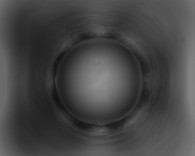 X0000095680642200801081229
