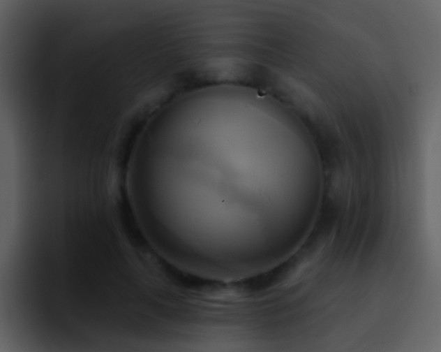 X0000095680643200801081229