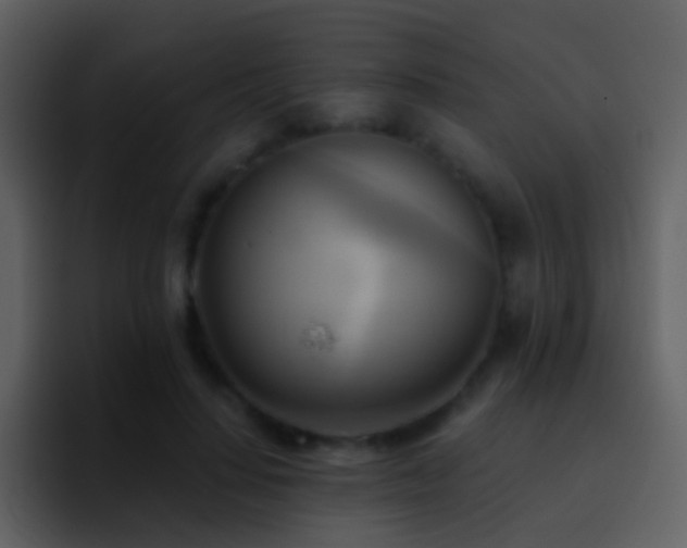 X0000095680644200801081229