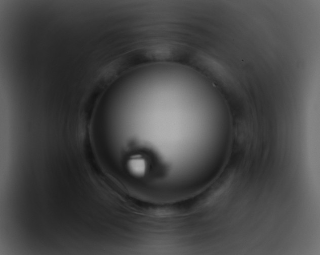 X0000095680645200801081230