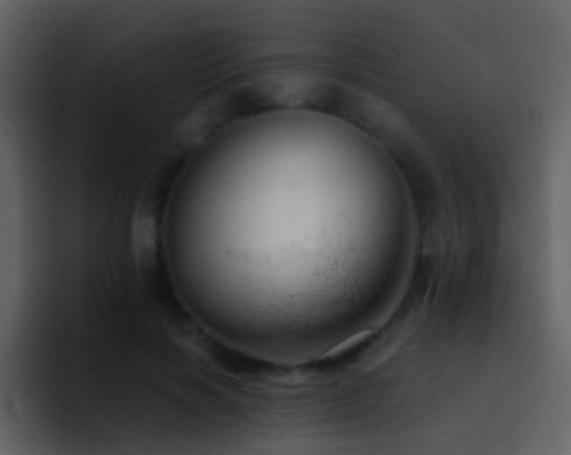 X0000095680646200801081230