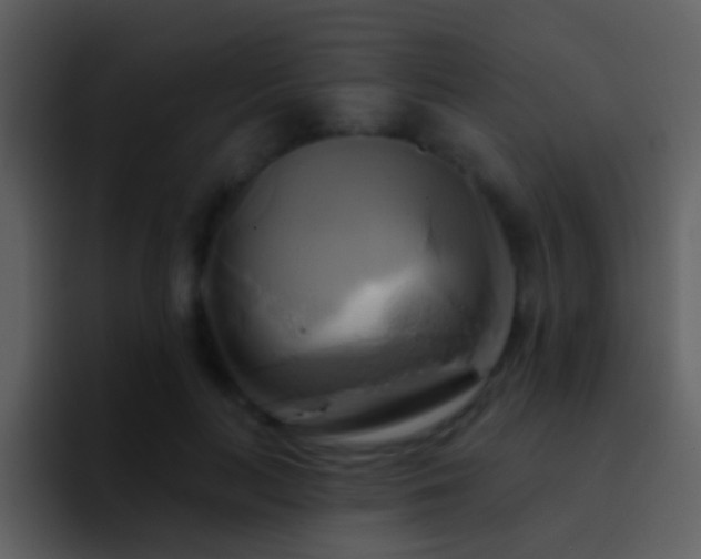 X0000095680647200801081230