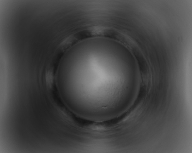X0000095680648200801081230