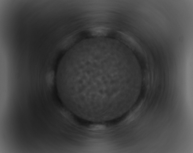 X0000095680649200801081230