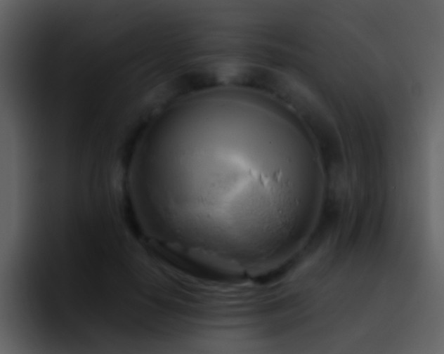 X0000095680650200801081230